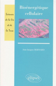 Bioénergétique cellulaire