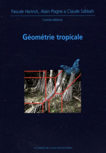 Géometrie tropicale. Journées Mathematiques X-UPS 2008