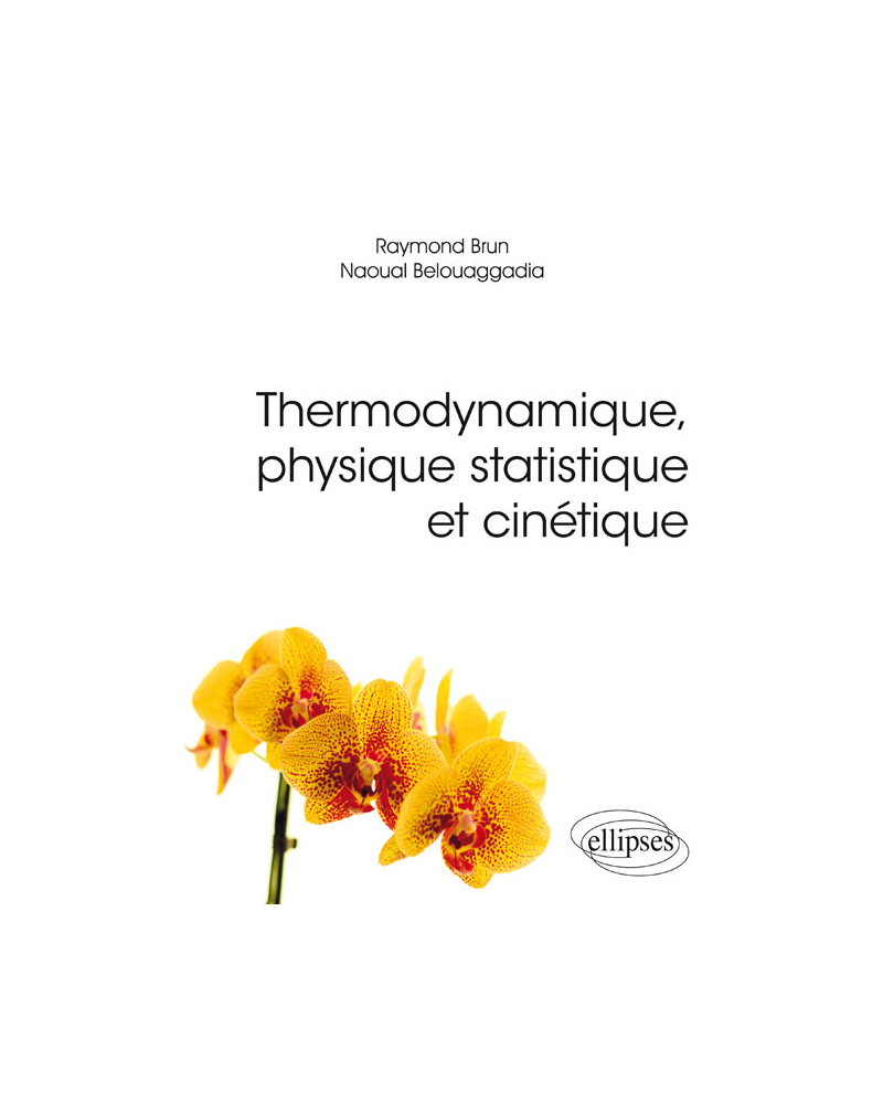 Thermodynamique, physique statistique et cinétique