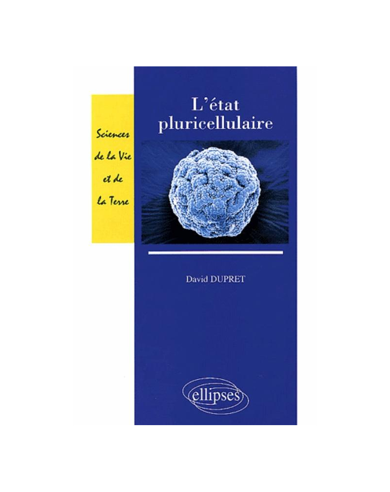 L'état pluricellulaire