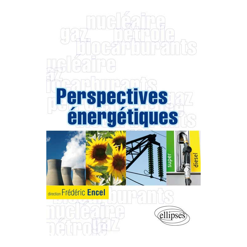 Perspectives énergétiques. Gaz, pétrole, nucléaire, biocarburants