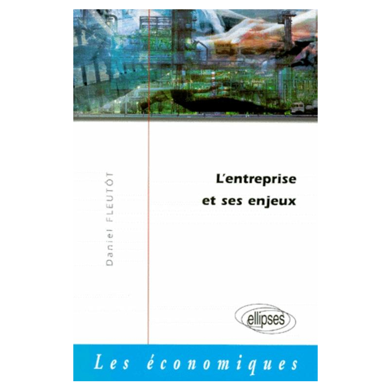 L'entreprise et ses enjeux dans l'économie contemporaine