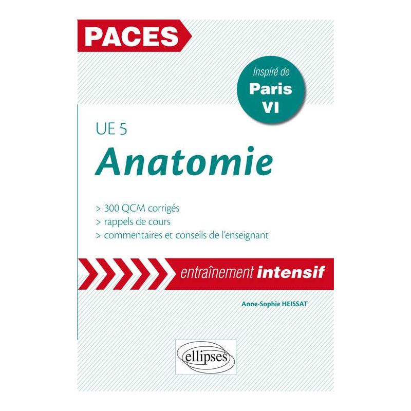 UE5 - Anatomie
