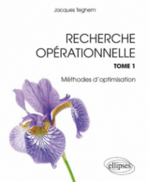 Recherche Opérationnelle - Tome 1 : Programmation linéaire. Optimisation combinatoire. Programmation dynamique. Graphes. Métaheuristiques