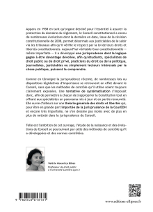 Contentieux constitutionnel - 2e édition