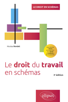 Le droit du travail en schémas - 3e édition