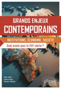 Grands enjeux contemporains. Quel avenir pour le XXIe siècle ? - Institutions, économie, société