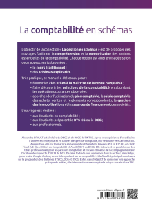 La comptabilité en schémas