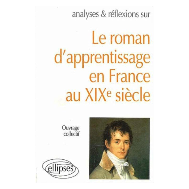 roman d'apprentissage en France XIXe siècle (Le)