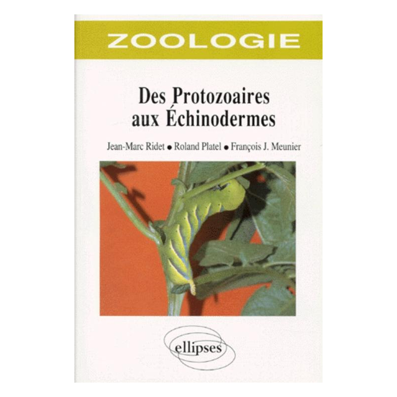 Zoologie des protozoaires aux échinodermes