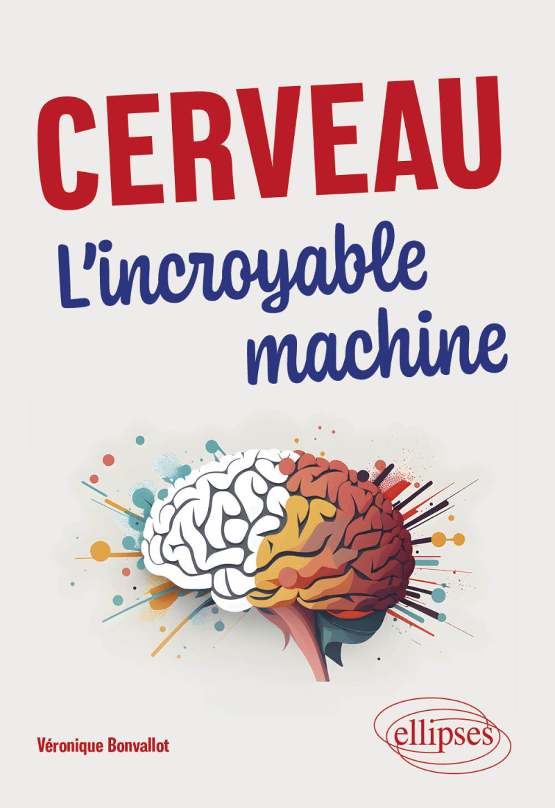 Cerveau. L’incroyable machine