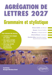 Grammaire et stylistique. Agrégation de Lettres 2027 - édition 2027